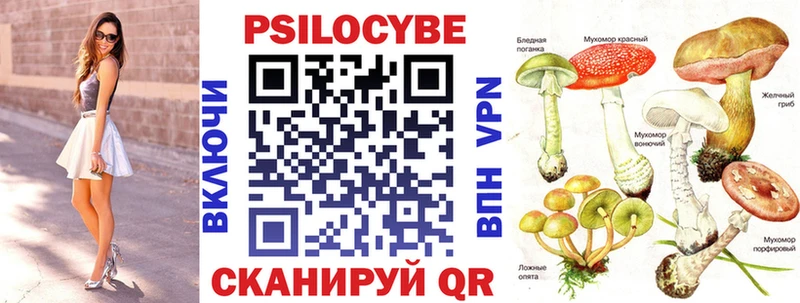 hydra ссылка  нарко площадка телеграм  Галлюциногенные грибы Cubensis  Александров 