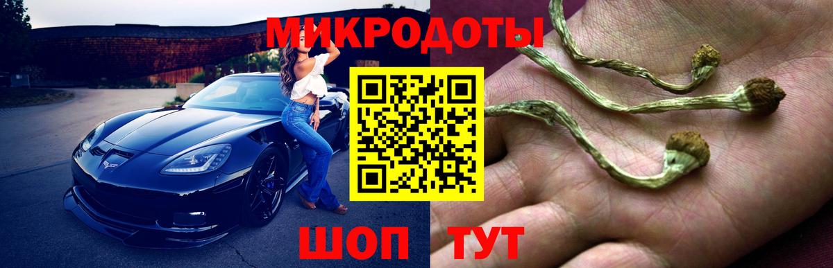 Александров  Псилоцибиновые грибы Psilocybine cubensis  Псилоцибиновые грибы GOLDEN TEACHER  Вход с VPN 